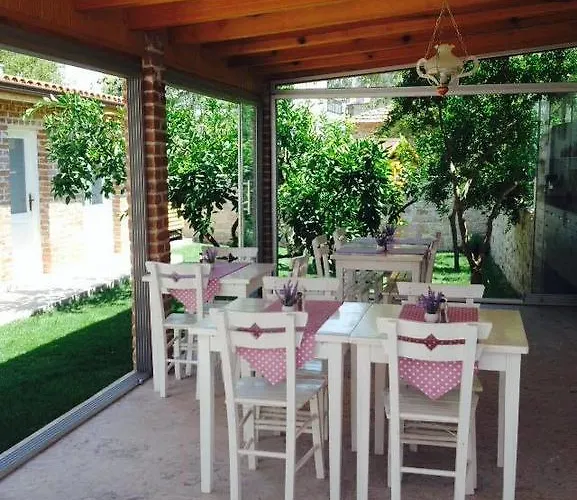 Lavanta Cunda Ayvalı