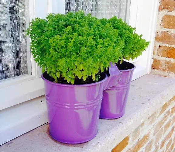 Lavanta Cunda Szálloda *