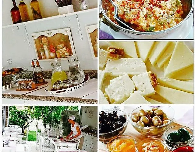 Szálloda Lavanta Cunda